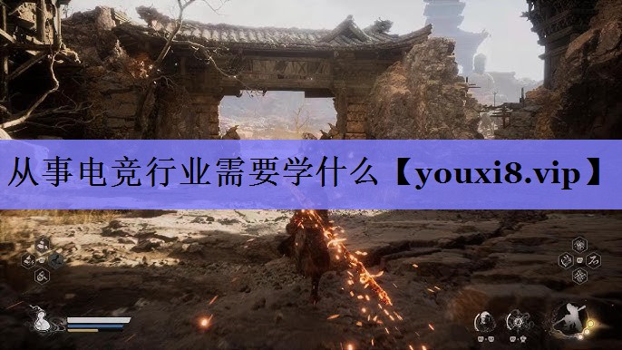 从事电竞行业需要学什么