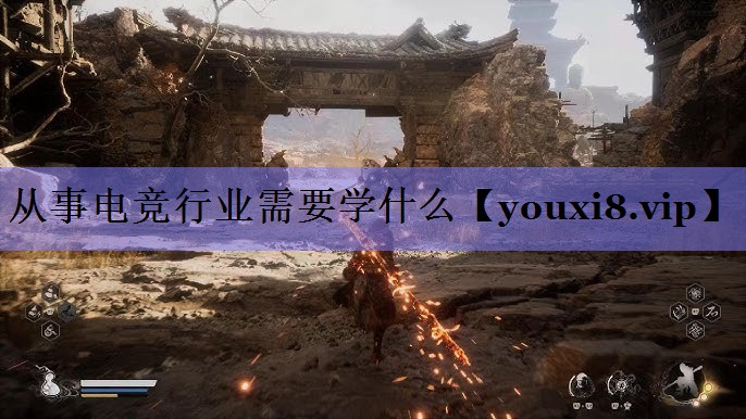 从事电竞行业需要学什么 从事电竞行业需要学什么