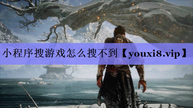 小程序搜游戏怎么搜不到 小程序搜游戏怎么搜不到