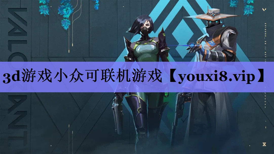3d游戏小众可联机游戏